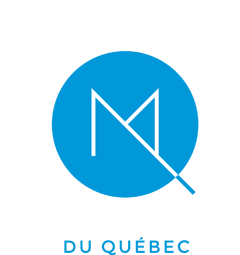 Les Guides électroniques de la SMQ