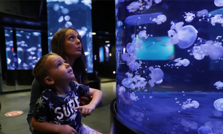 Aquarium du Québec